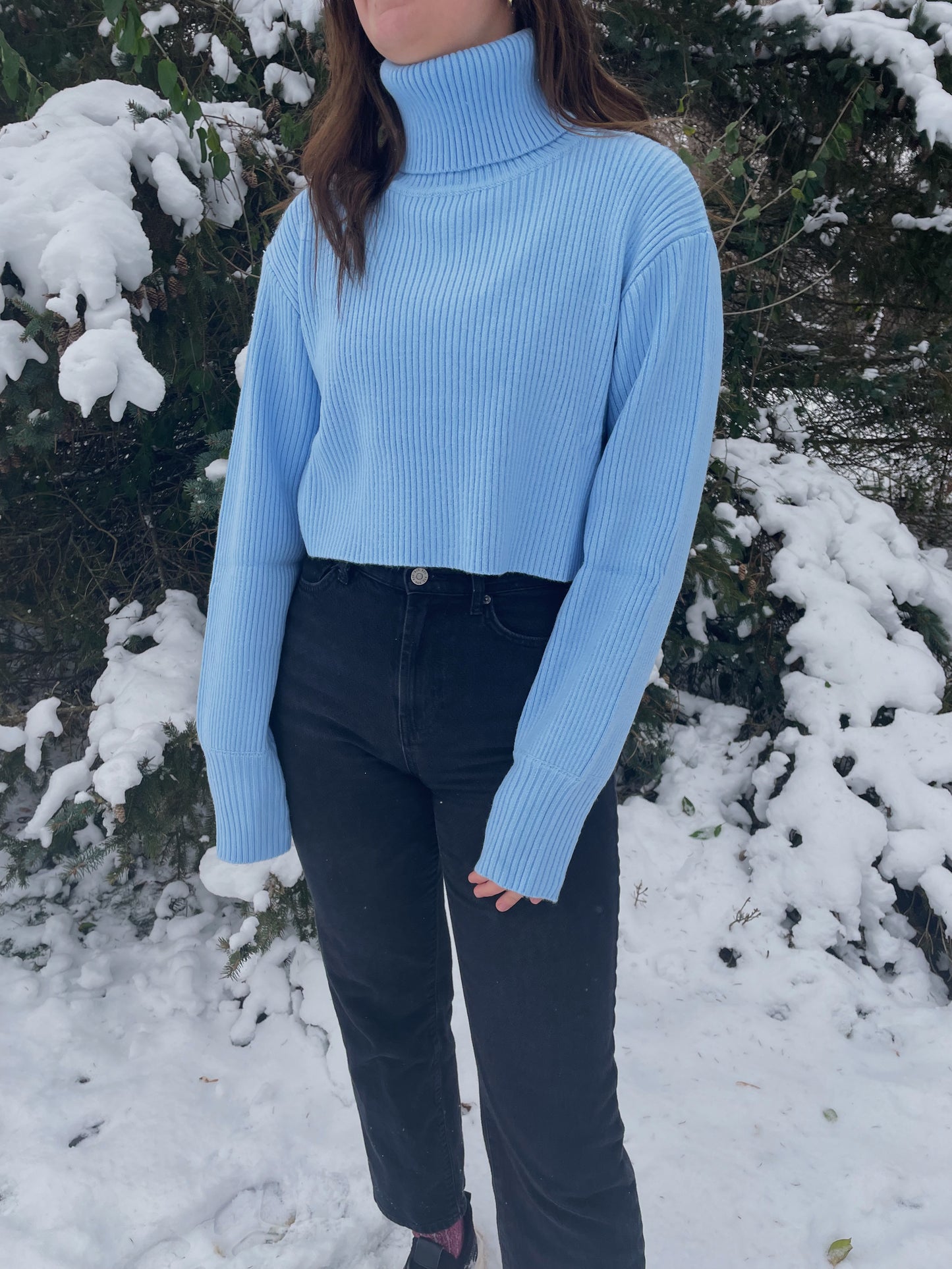 Turtle Neck Crop Sweater